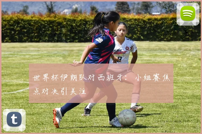 世界杯伊朗队对西班牙：小组赛焦点对决引关注