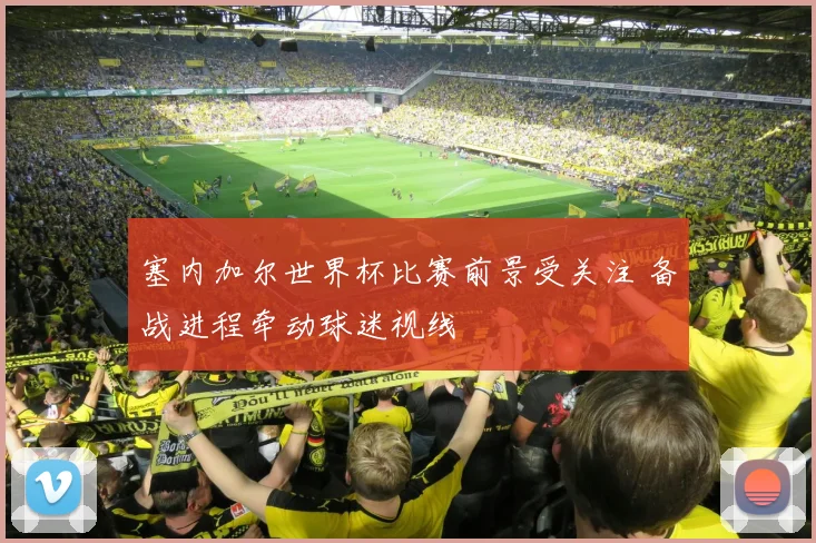 塞内加尔世界杯比赛前景受关注 备战进程牵动球迷视线