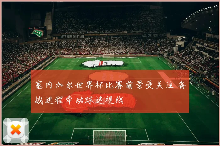 塞内加尔世界杯比赛前景受关注 备战进程牵动球迷视线