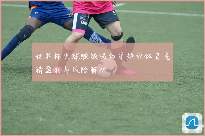 世界杯买球赚钱吗知乎热议体育竞猜盈利与风险解析
